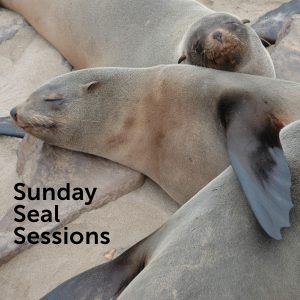 Sunday Seal Sessions / Rest Gatherings